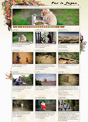 Lost in Japan Website