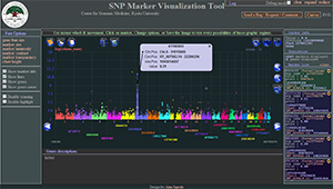 SNP Marker Visualization Tool